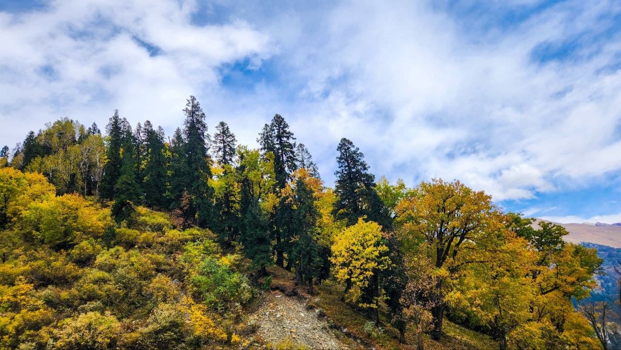 Kullu, Himachal Pradesh
