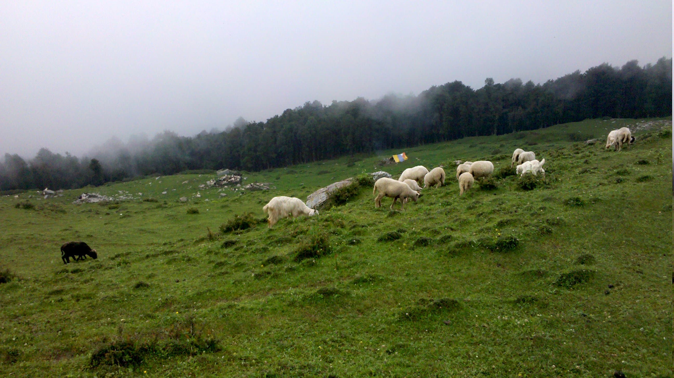 Chamoli, Uttarakhand